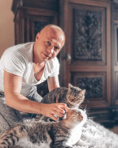 Как вы реагируете на бездомных животных?