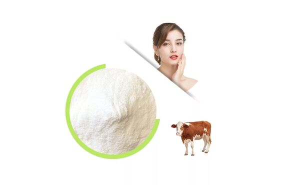 Бычий (говяжий) коллаген - польза, применение, как выбрать