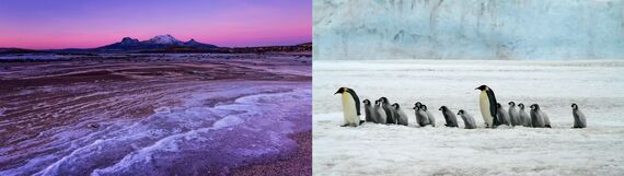 Где находятся Арктика и Антарктида?